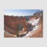 Bryce Canyon Natural Bridge Snowy Landscape Photo Tissue Paper