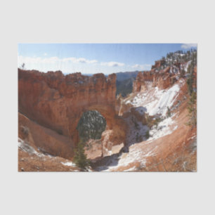 Bryce Canyon Natural Bridge Snowy Landscape Photo Tissue Paper