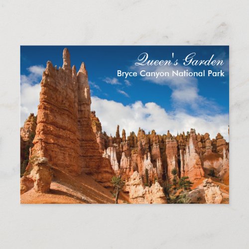 Bryce Canyon NP _ Queens Garden postcar Postcard