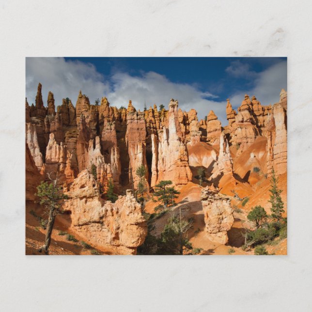 Bryce Canyon NP - Queens Garden postcard (Front)