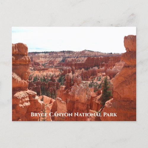 Bryce Canyon Postcard