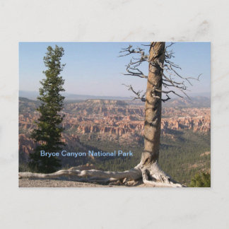 Bryce Canyon Postcard
