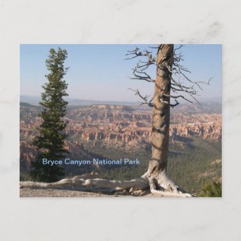 Bryce Canyon Postcard by bluerabbit at Zazzle