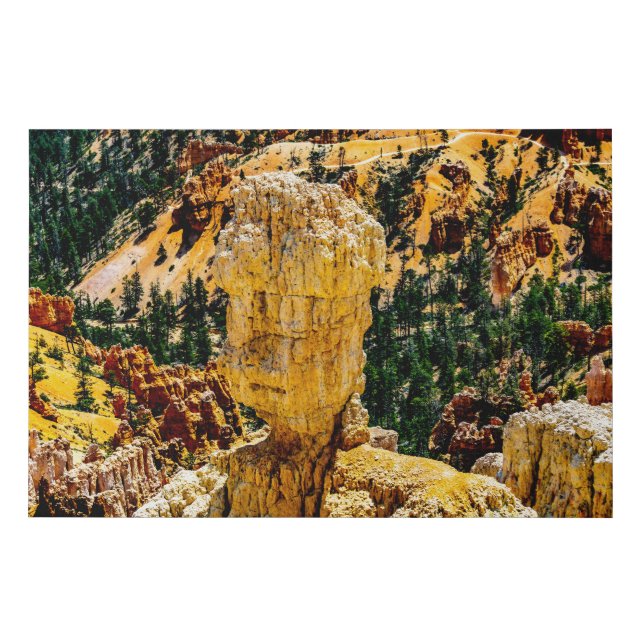Bryce Canyon Robot Man Faux Canvas Print (Front)