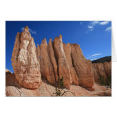 Bryce Canyon Scene (Front Horizontal)