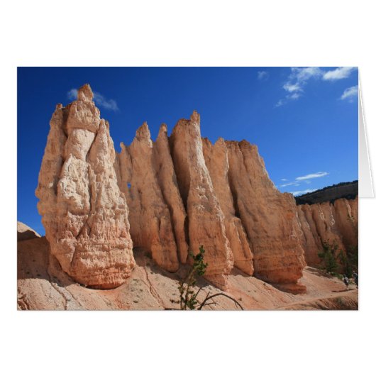 Bryce Canyon Scene (Front Horizontal)