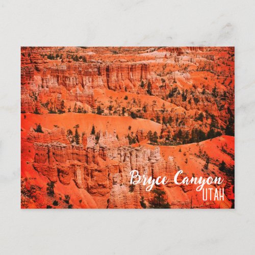 Bryce Canyon Ut Postcard