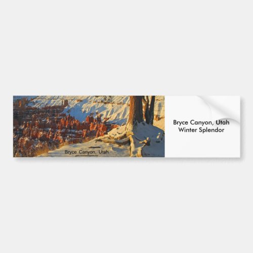 Bryce Canyon Utah Bumper Sticker