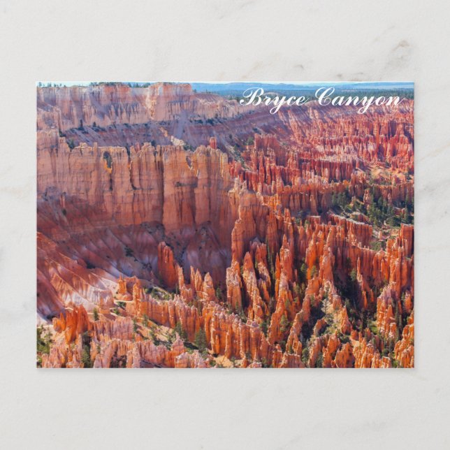 Bryce Canyon Utah Hoodoos Postcard (Front)