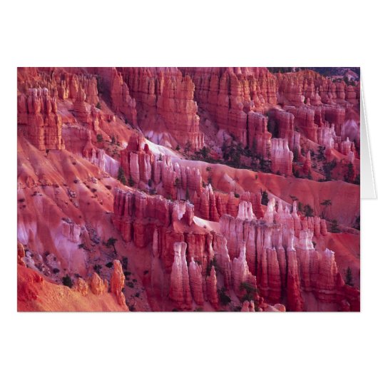Bryce Canyon, Utah, USA (Front Horizontal)