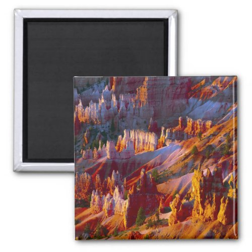 Bryce Canyon Utah USA 2 Magnet