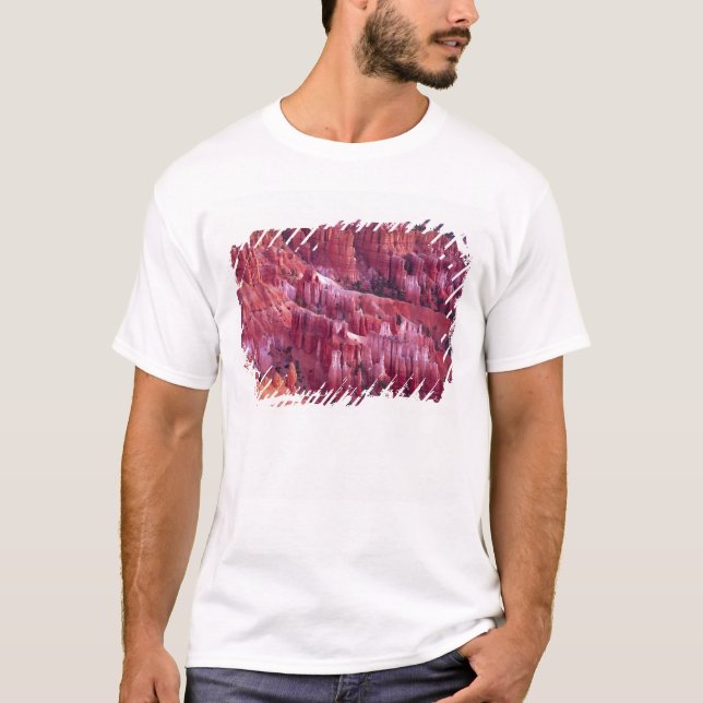 Bryce Canyon, Utah, USA T-Shirt (Front)