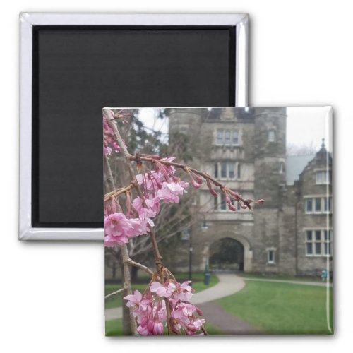 Bryn Mawr College in springtime Pem Arch Magnet