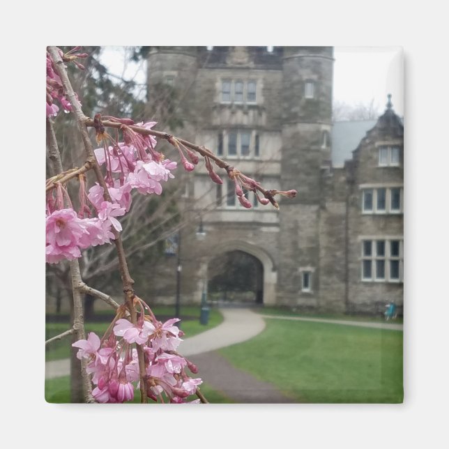 Bryn Mawr College in springtime Pem Arch Magnet (Front)