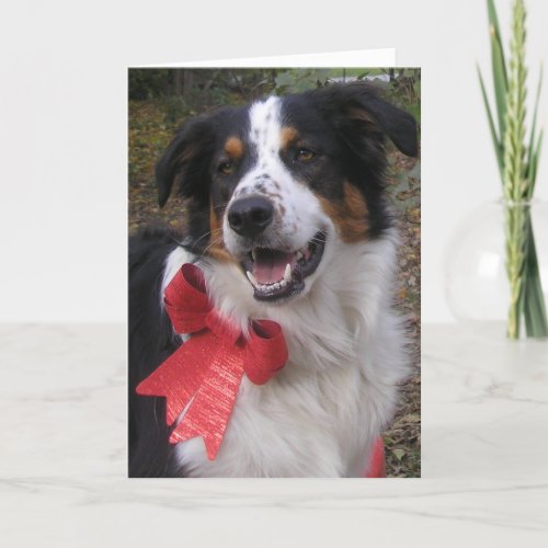 Bryn With a Bow Holiday Card