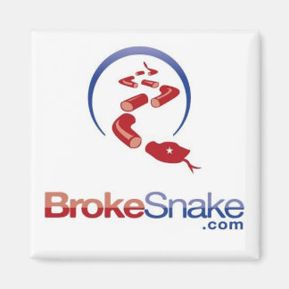 BS logo snake top Magnet
