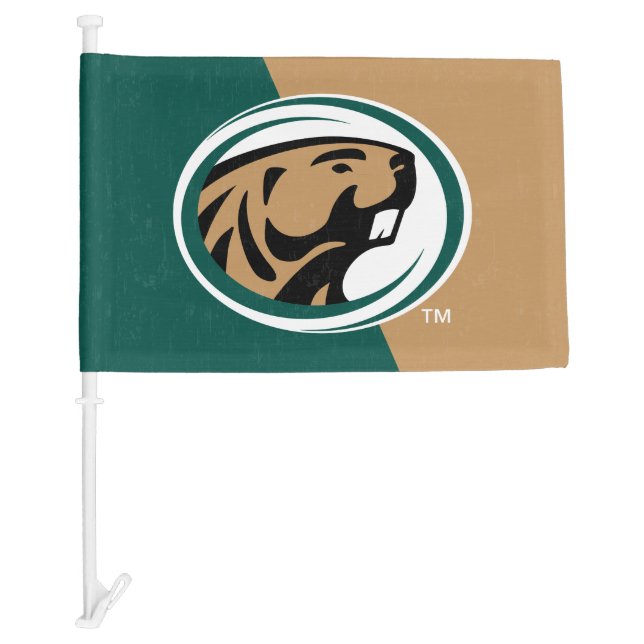 BSU Color Block Car Flag (Front)