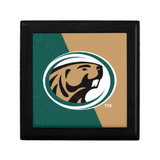 BSU Color Block Gift Box