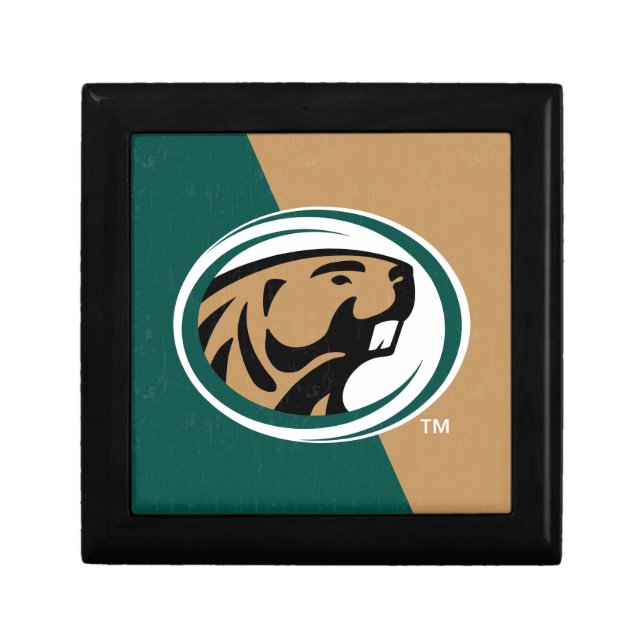 BSU Color Block Gift Box (Front)
