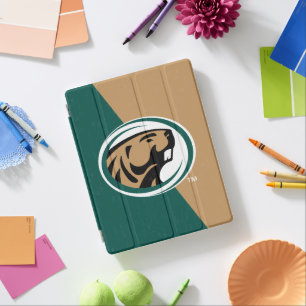 BSU Color Block iPad Smart Cover