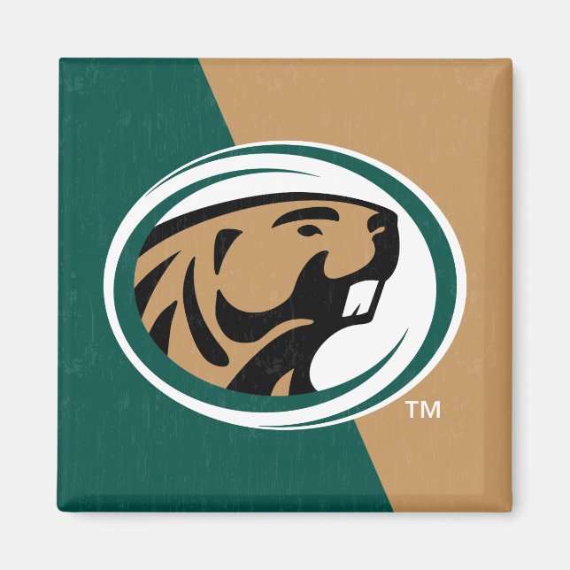 BSU Color Block Magnet (Front)