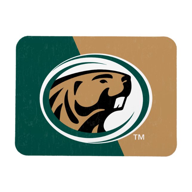 BSU Color Block Magnet (Horizontal)