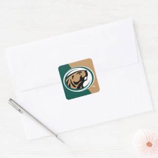 BSU Color Block Square Sticker