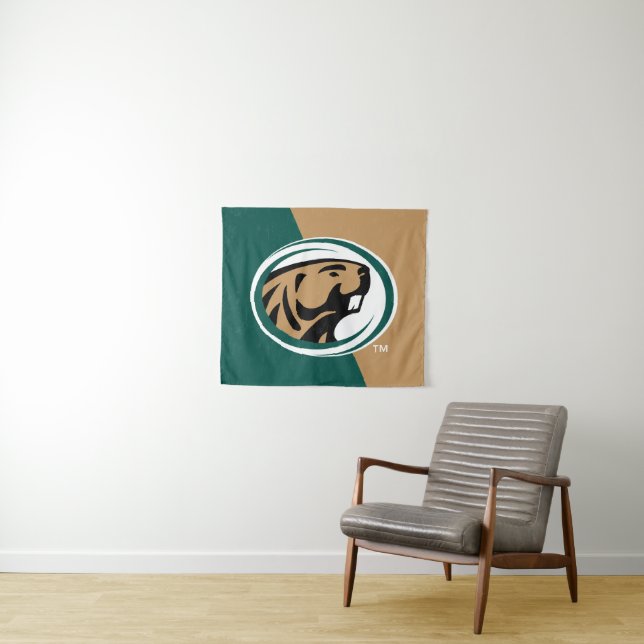 BSU Color Block Tapestry (In Situ (Horizontal))