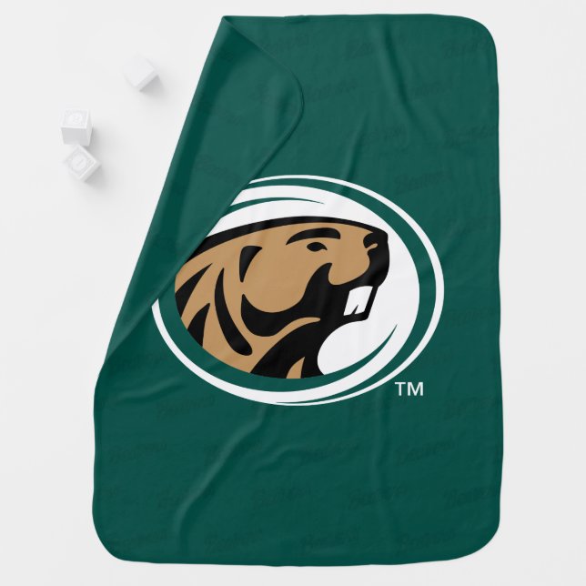 BSU Watermark Baby Blanket (In Situ)