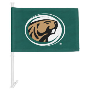 BSU Watermark Car Flag