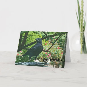 BT- Funy Crow Birthday Card