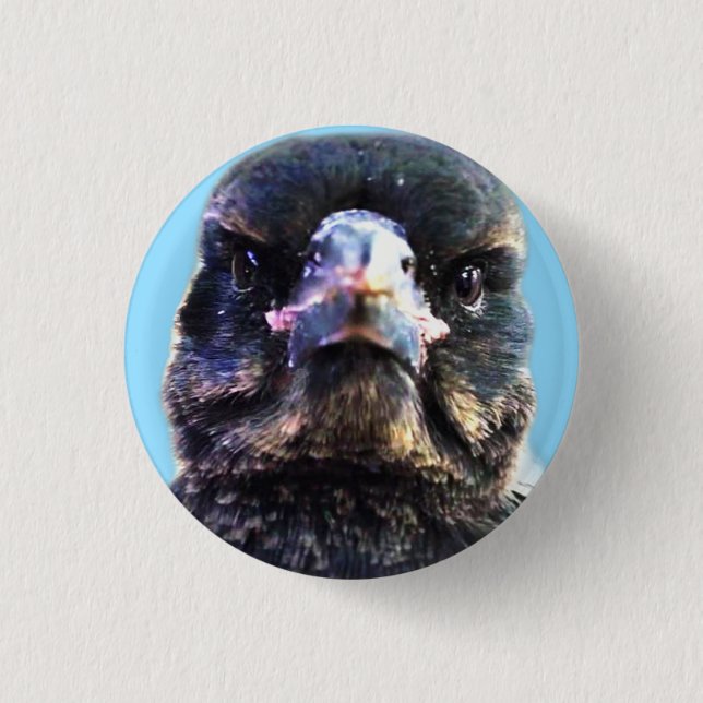 Bub the Australian Rescued Magpie Button (Front)