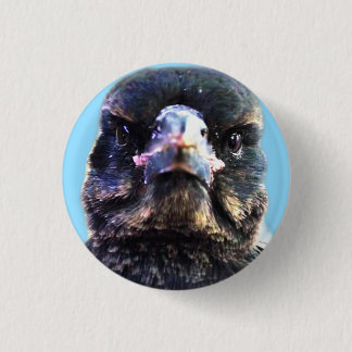Bub the Australian Rescued Magpie Button