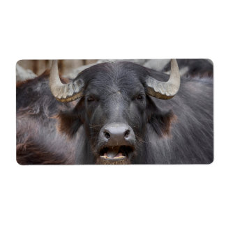 Bubalus bubalis label