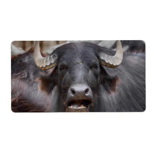 Bubalus bubalis label (Front)