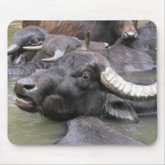 Bubalus bubalis mouse pad