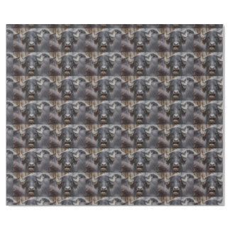Bubalus bubalis wrapping paper