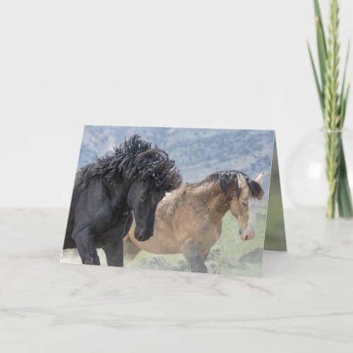 Bubba and Scarface Wild Horse Greeting Card