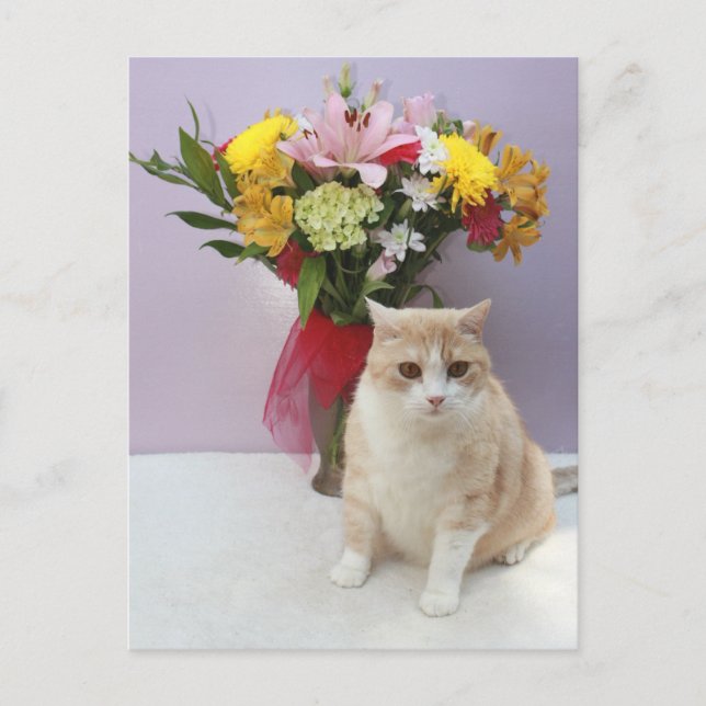 Bubba by Flowers Postcard (Front)