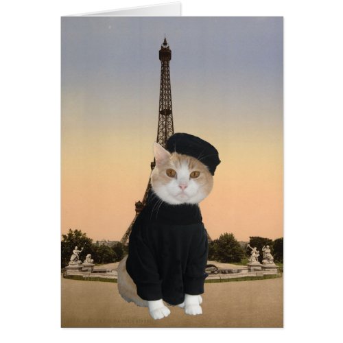 Bubba Kitty in Paris