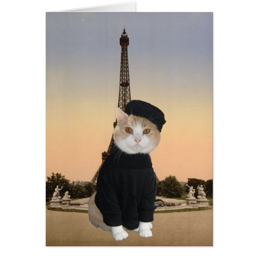 Bubba Kitty in Paris Cards (Front)