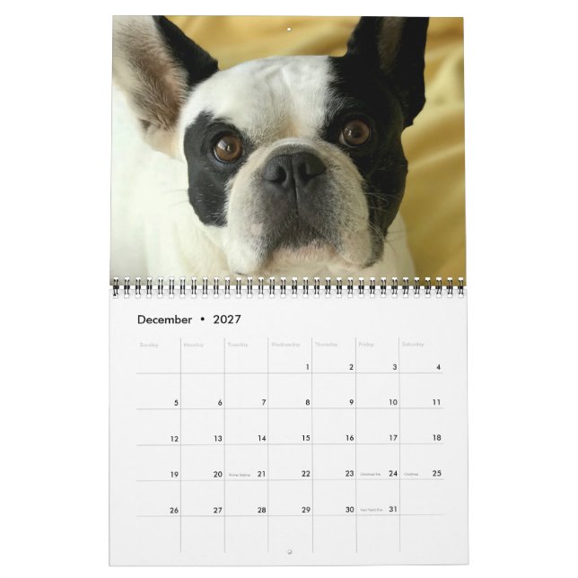 Bubba Louie 2020 Calendar (Dec 2027)