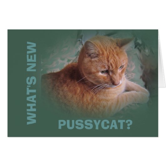 Bubba the Orange Tabby Tomcat Cards (Front Horizontal)