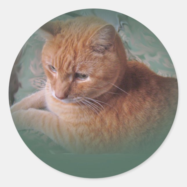 Bubba the Orange Tabby Tomcat Classic Round Sticker (Front)