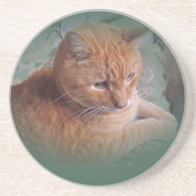Bubba the Orange Tabby Tomcat Drink Coaster (Front)
