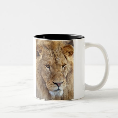 Bubbas Lion mug Two_Tone Coffee Mug