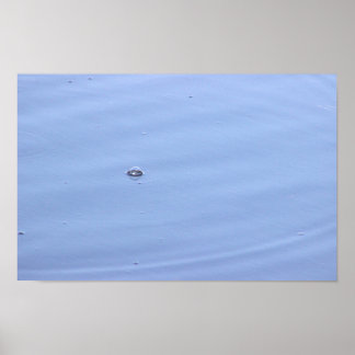 Bubble in Pond Poster