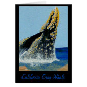 Bubblepacific blankets (Front)