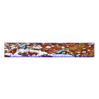 BUBBLES RULER