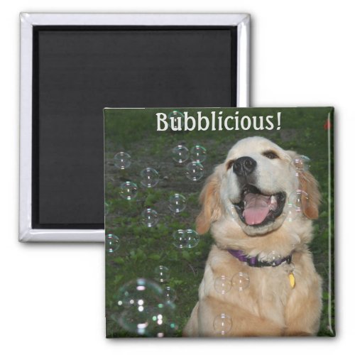 Bubblicious Golden Retriever Puppy Magnet